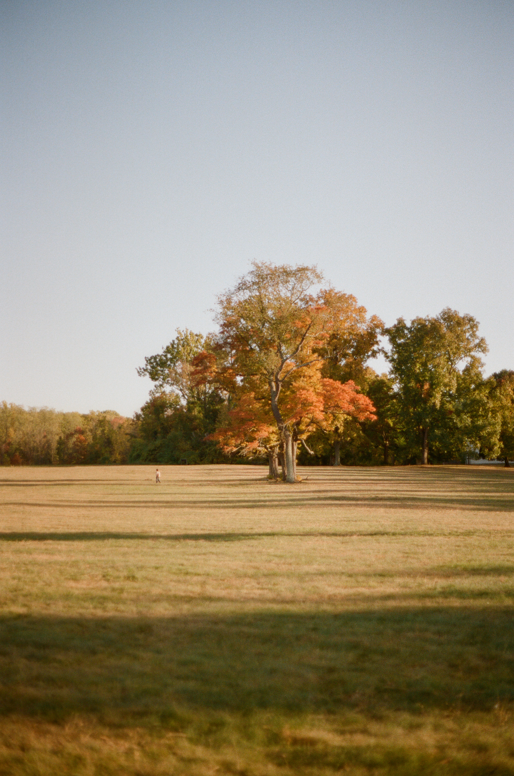 010270020017 (1).jpg