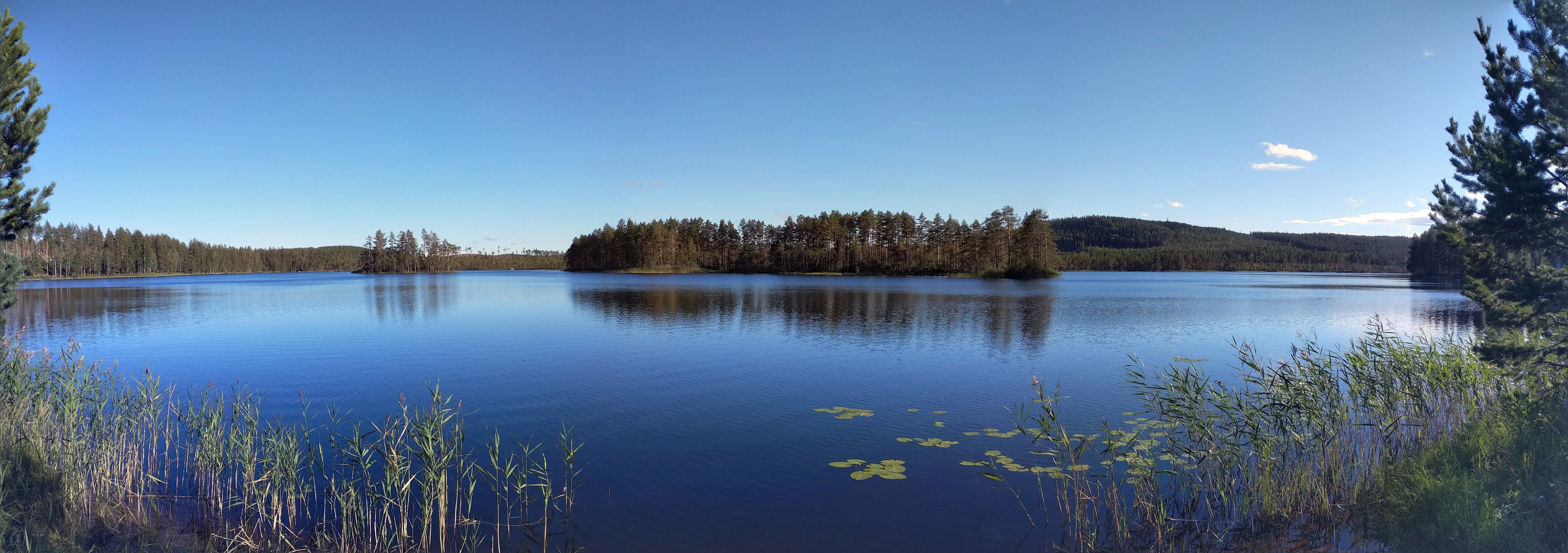 a pretty pond in sweden